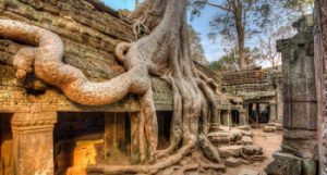 Ta Prohm temple vietfoot travel